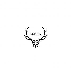LOGO CARUUS