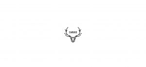 caruus logo